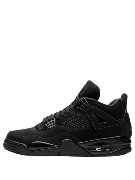 Jordan 4s