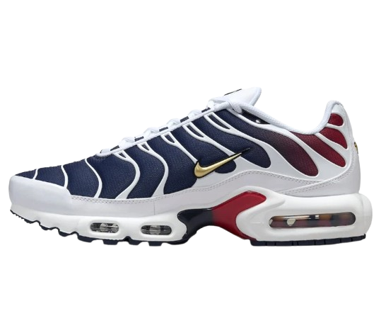 Nike Air Max Plus TNs