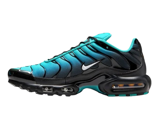 Nike Air Max Plus TNs