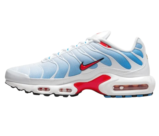 Nike Air Max Plus TNs