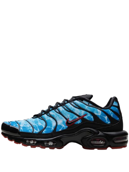 Nike Air Max Plus TNs