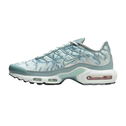 Nike Air Max Plus TNs