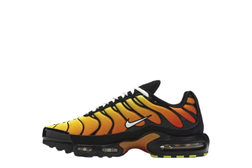 Nike Air Max Plus TNs