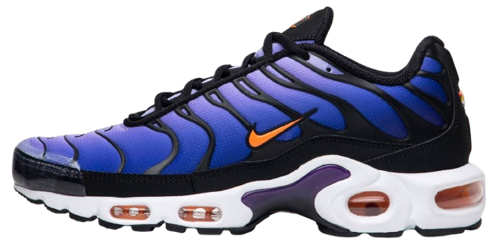 Nike Air Max Plus TNs