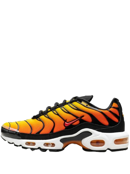 Nike Air Max Plus TNs