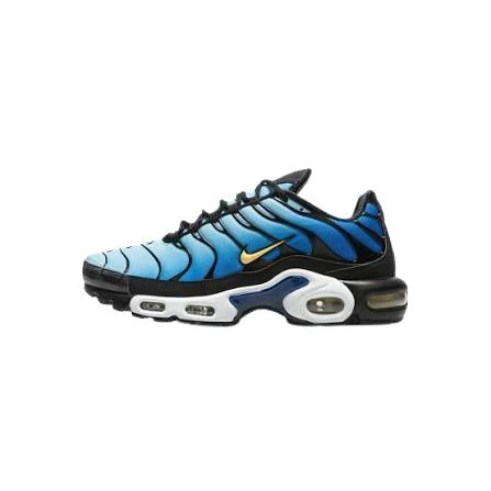 Nike Air Max Plus TNs