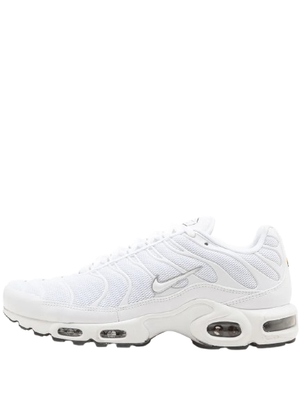 Nike Air Max Plus TNs